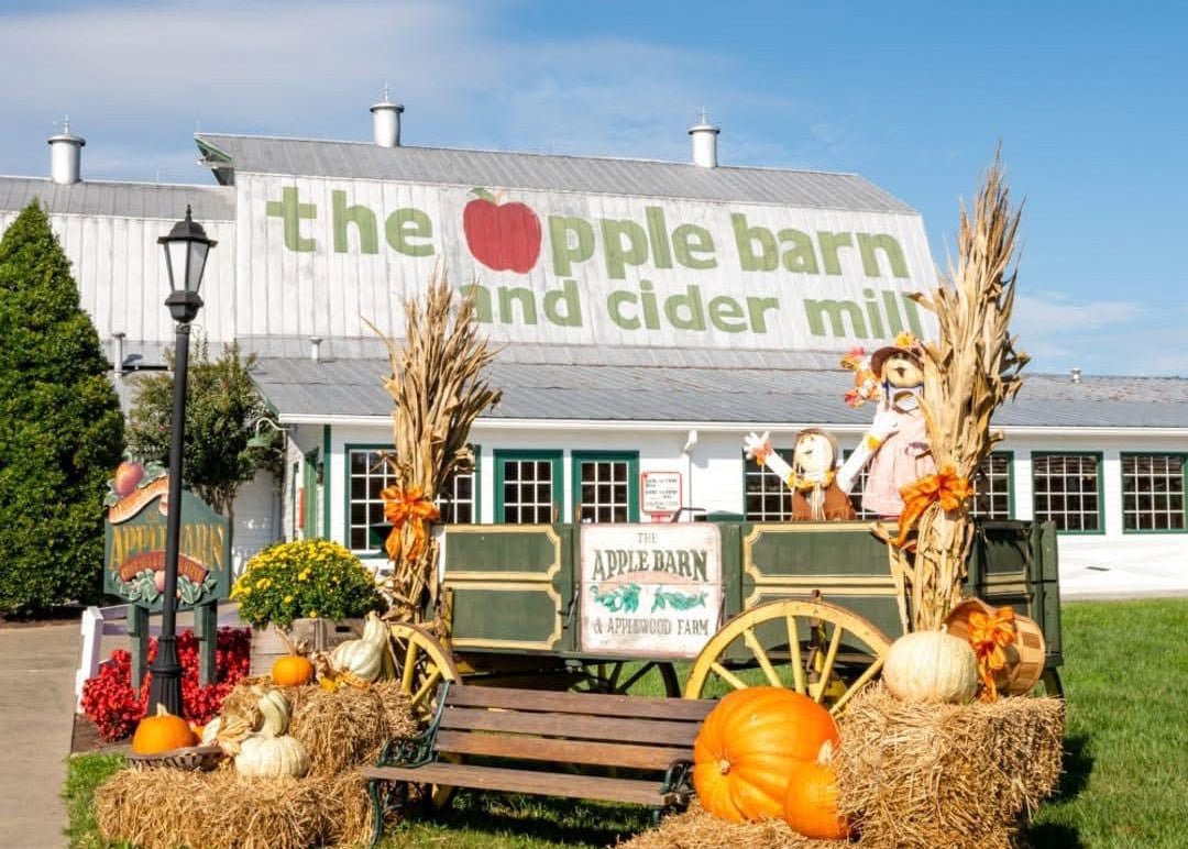A fall-themed decorative wagon set up in front of a white barn with large green and red lettering that reads 'the apple barn and cider mill.' The scene includes pumpkins, hay bales, corn stalks, a bench, a lamp post, and a small sign for 'Apple Barn & Cider Mill.